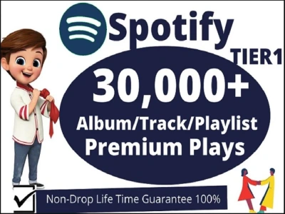 30,000 Spotify Playlist/Track/Album Plays Premium Tier 1 Countries