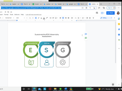 A Company ESG/Sustainability Material Assessment.