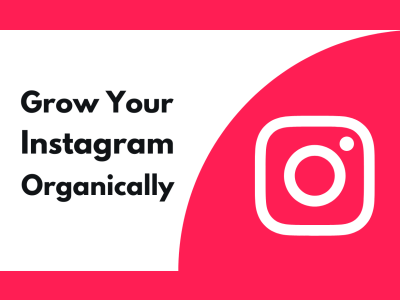 Organic Instagram Followers | 100% Real and Targeted Instagram Followers