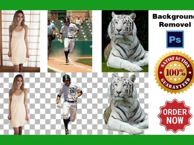 Remove The Background From Any Image Professionally Upwork