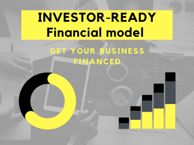 A custom-made Financial model or Financial Plan - Get Your Startup Financed