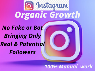 Real and Potential Followers, Increase your Instagram Engagement