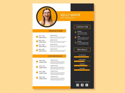 Professional resume or cv template