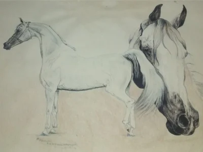 A custom and personalized colored pencil artwork