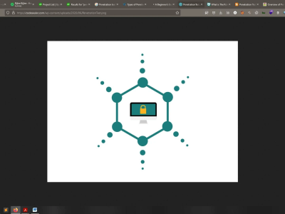 An advanced web application penetration test followed by a detailed report