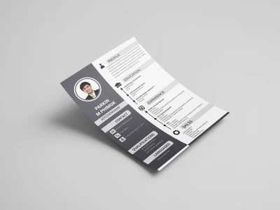 Top rated professional resume/CV, cover letter