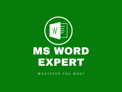 Professional Microsoft Word or Google Doc Services.