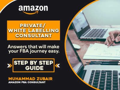 Amazon Private /White Labeling Consult From A Professional