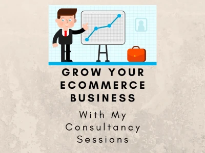 Ecommerce Business Consultancy & Mentorship