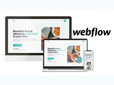 A branded Webflow store, Webflow expert, Webflow Design/Redesign.