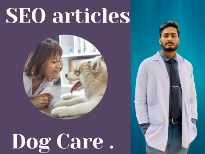 High-quality SEO article about Pets Care in the pet niche.