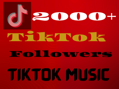 Organic TikTok Music Promotion