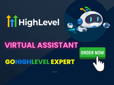 An Expert Gohighlevel (GHL / Go High Level) Virtual Assistant for 1 HOUR