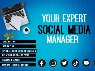 Professional social media management and content creation service