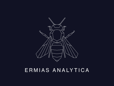 Professional geometric logo design
