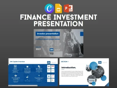 An elegant Investment and Finance Presentation design