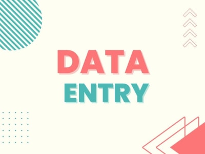 Data Entry with Quickturnaround and Accuracy