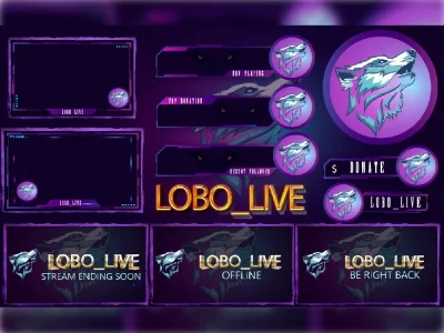 Customized overlay & panel for streaming