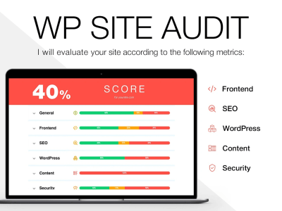 A complete audit of your site