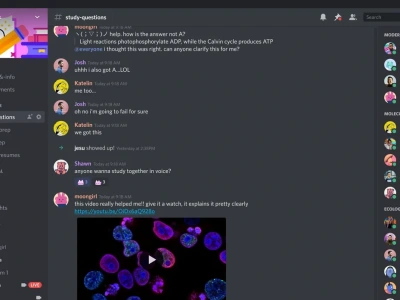 Custom designed discord for your NFT project