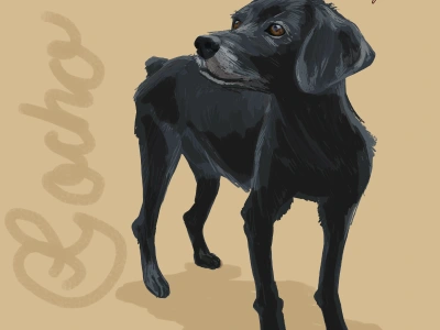 A stylized and cute illustration of animals