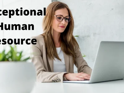 Exceptional Human Resource Management, business and marketing papers