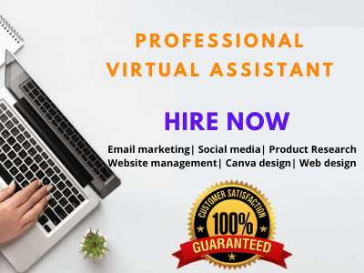 Professional and reliable Virtual assistant for your business
