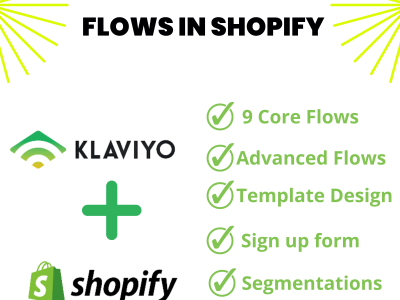 Advanced klaviyo email marketing flows for shopify store, set up flows.
