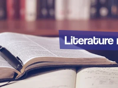 Literature review in a day