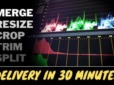 Crop, resize, compress, split, trim, cut, merge video for any platform