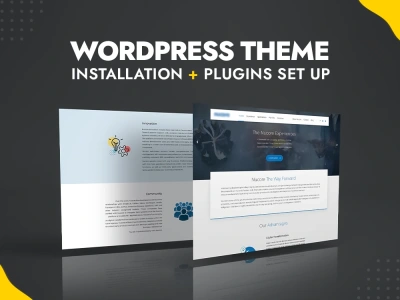 WordPress Theme Installation + Plug ins set up