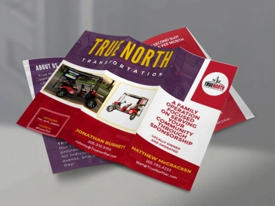 Professional Flyer and Brochure design