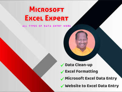 Excel data entry, cleaning and formatting service