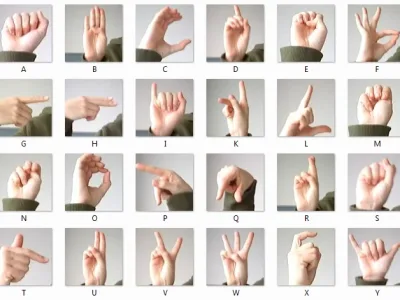 A hand gesture Detection & Recognization solution.
