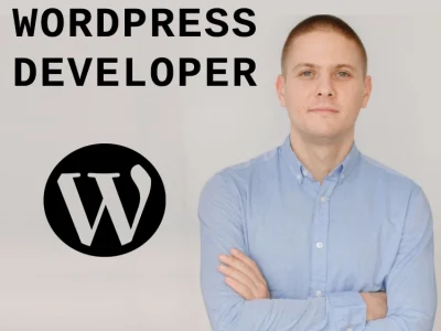 Professional WordPress developer | Bug Fixes | WordPress installation ...