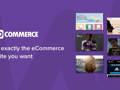 Ecommerce store in WordPress with payment gateway in woocommerce.