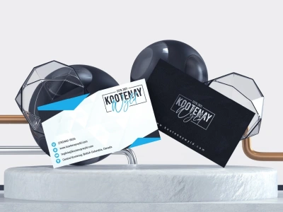An amazing, high quality, professional BUSINESS CARD design in 24 hours