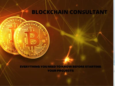 A blockchain consultant, or cryptocurrency developer for your project