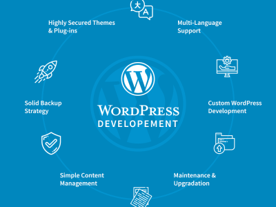 WordPress Designer, Developer and Expert for Custom Theme and Plugin