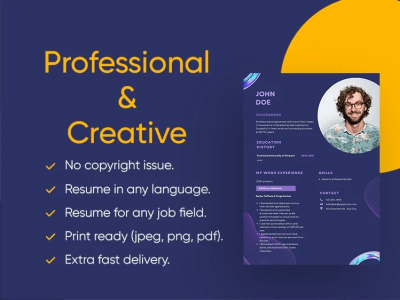 A professional and creative resume or cv