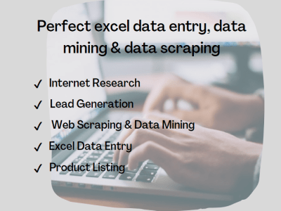 Perfect excel data entry, data mining and data scraping