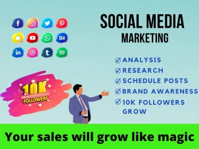Social media marketing manager, content creation and IG followers increase