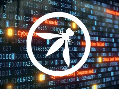 A professional penetration test and a quality report thereafter