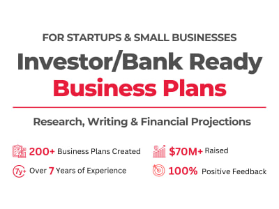 A custom investor/bank ready business plan