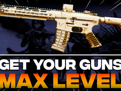 Your weapon fully leveled in Warzone 3