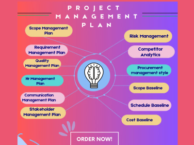 Project Management Plan and Develop Documents for You