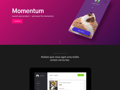 Tailored web design and development for your business | Upwork