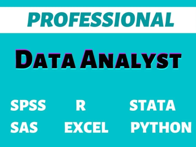 A complete Report of your Data Analysis in PYTHON, R, STATA, EXCEL, SPSS