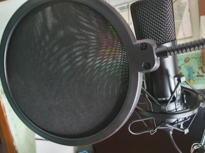 Italian voice over with a good audio quality
