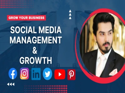 Social media management, Designs, content for 30 days | IG | FB | LinkedIn